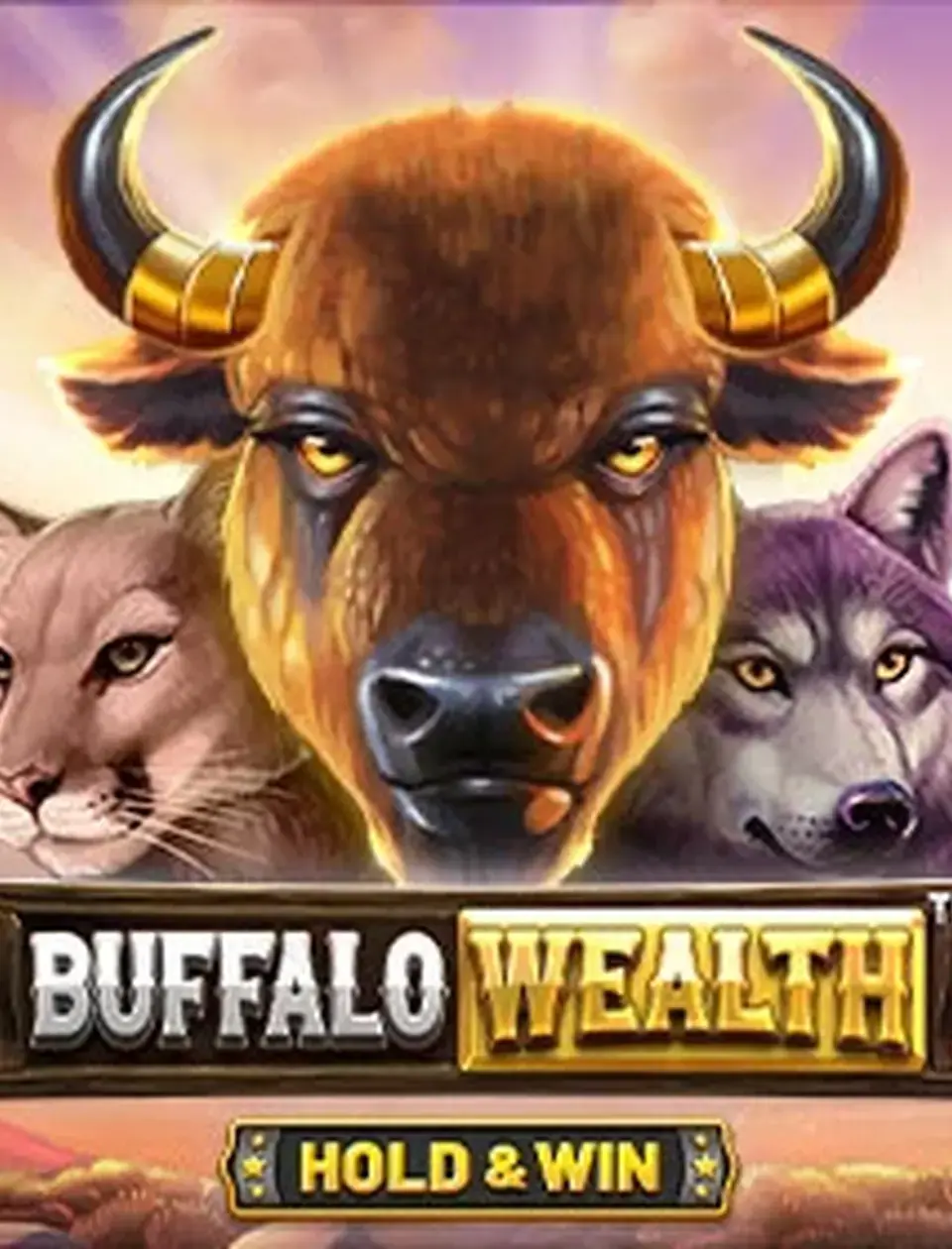Buffalo Wealth